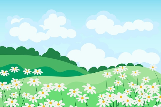 Vetor paisagem de primavera-verão, campos de camomila e prados contra o céu com nuvens. ilustração