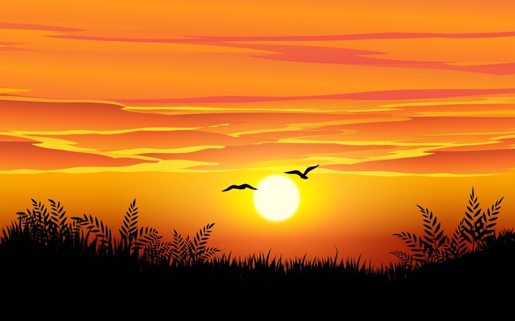 Paisagem do horizonte do pôr do sol com pássaros