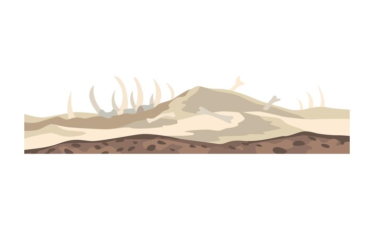 Vetor paisagem do jogo. natureza do design dos desenhos animados. paisagem do deserto do vale da morte com ossos. ilustração da seção transversal do solo isolada no fundo branco