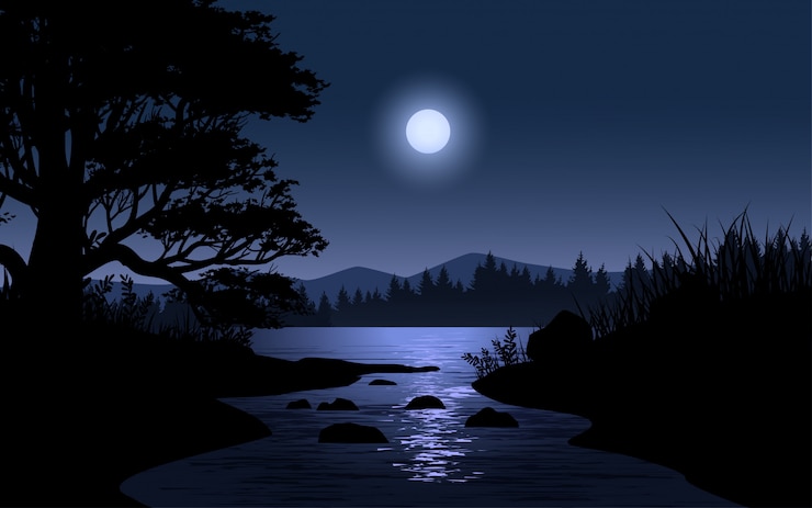 Vetor paisagem noturna na floresta com fluxo