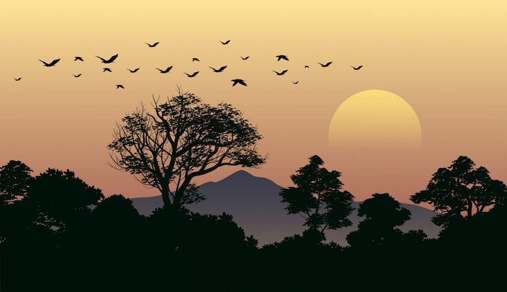 Vetor paisagem por do sol floresta com pássaros voando
