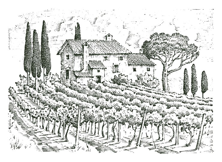 Vetor paisagem rural de vinha rústica com casas solares toscana campos de fundo e ciprestes colheita e palheiros gravados à mão desenhados em esboço antigo e estilo vintage para rótulo