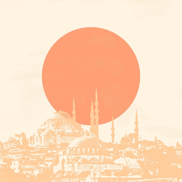 Vetor paisagem urbana de istambul ao pôr-do-sol turquia imagem tonada em estilo vintage