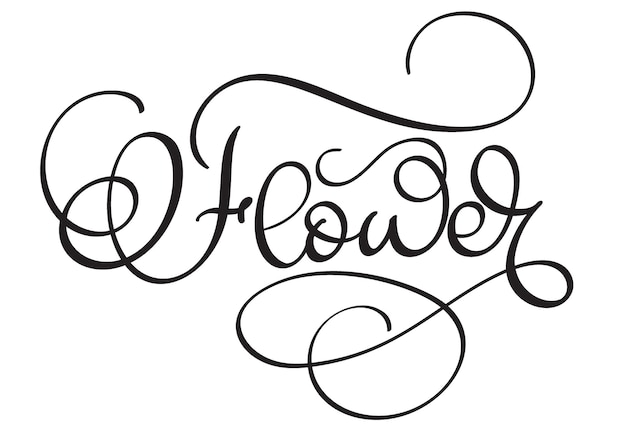 Vetor palavra de flor sobre fundo branco letras de caligrafia desenhadas à mão ilustração vetorial eps10