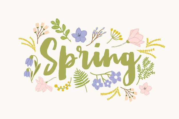 Palavra de primavera manuscrita com fonte caligráfica cursiva elegante e cercada por belas flores desabrochando e folhas. Letras sazonais lindas isoladas no fundo branco. ilustração
