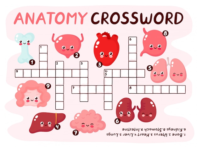 Palavras cruzadas de anatomia humana pazzle jogo. conjunto de órgãos fortes saudáveis saudáveis humanos felizes a sorrir.