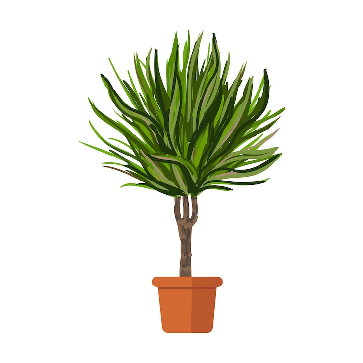 Vetor palm ttree em pote isolado no fundo branco