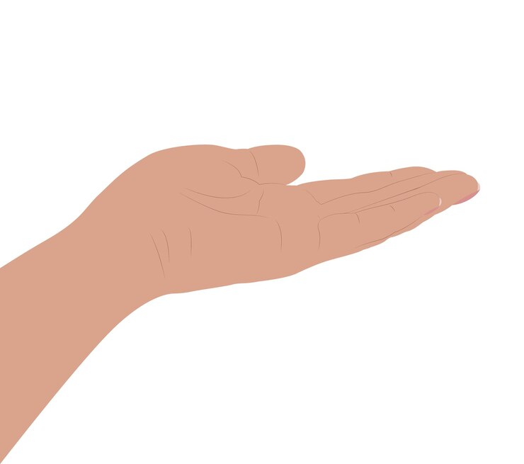 Vetor palma desenhada ilustração plana simples