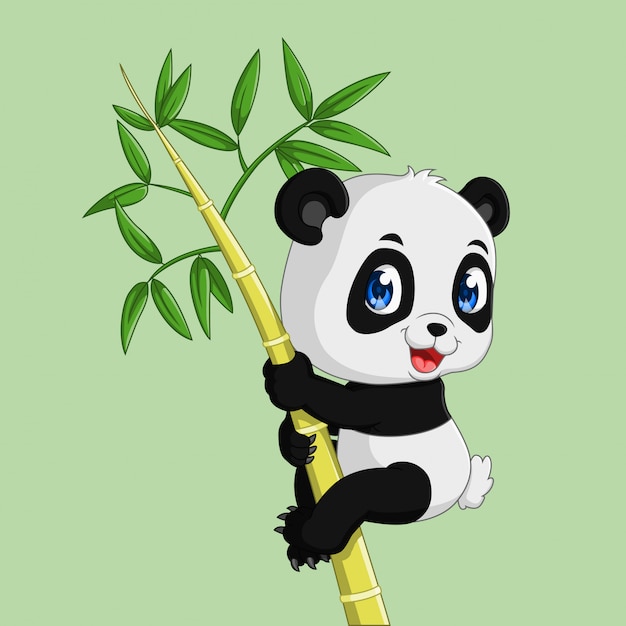 Panda bonito em uma árvore de bambu