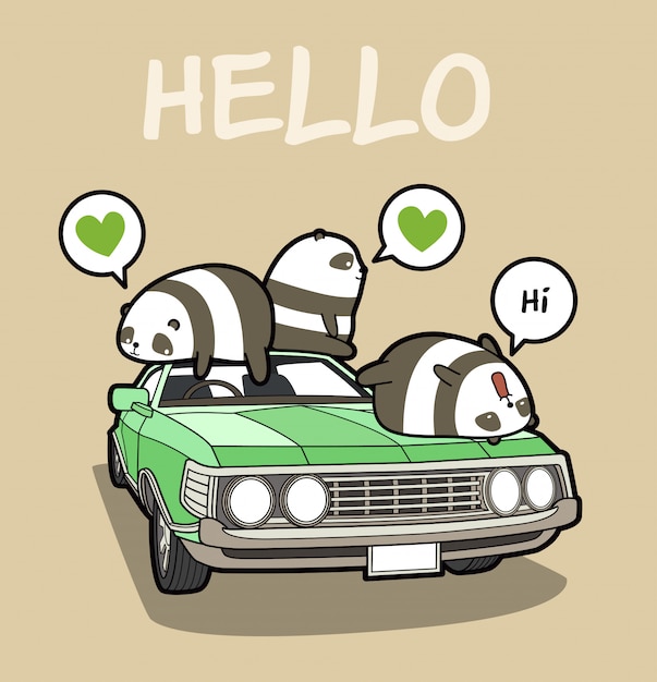 Pandas kawaii no carro