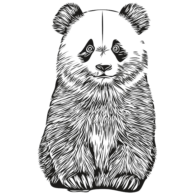 Desenho Realista Vetorial Da Figura Panda Em Ilustração Desenhada à Mão  Inteira Ilustração do Vetor - Ilustração de chinês, fofofo: 251025518