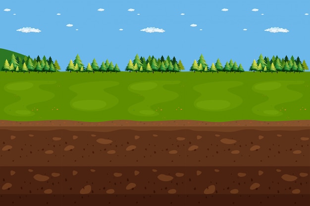 Panorama de paisagem florestal e subterrâneo