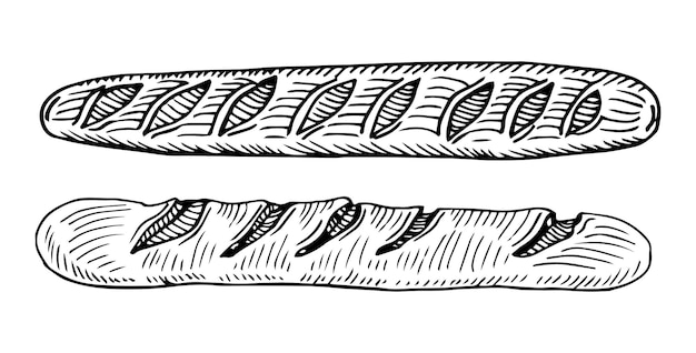 Pão de baguete de desenho vetorial desenhado à mão isolado no fundo branco