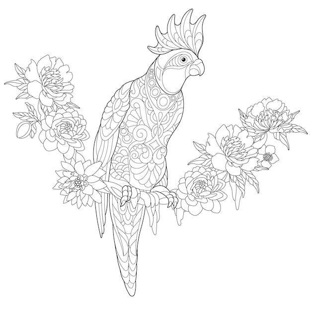 Papagaio cacatua. ilustração de coloração zentangle. design de arte de linha para página de livro de colorir adulto.