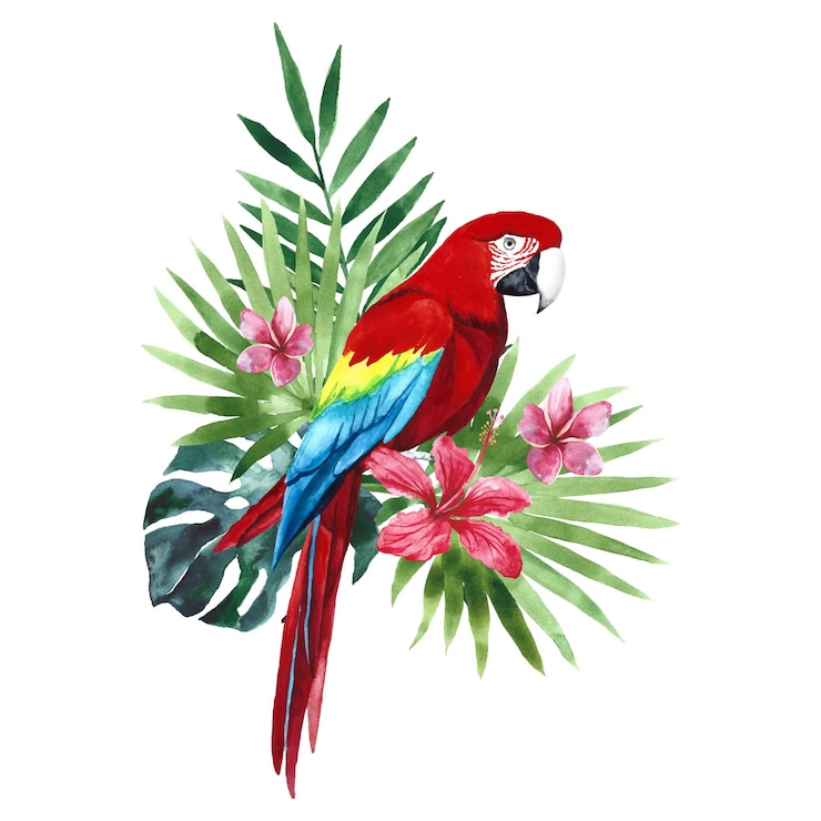 Vetor papagaio de arara vermelha em aquarela com folhas de palmeira tropical e flores