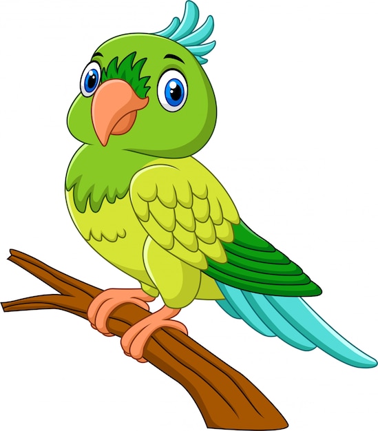 Papagaio de desenho animado no galho de árvore