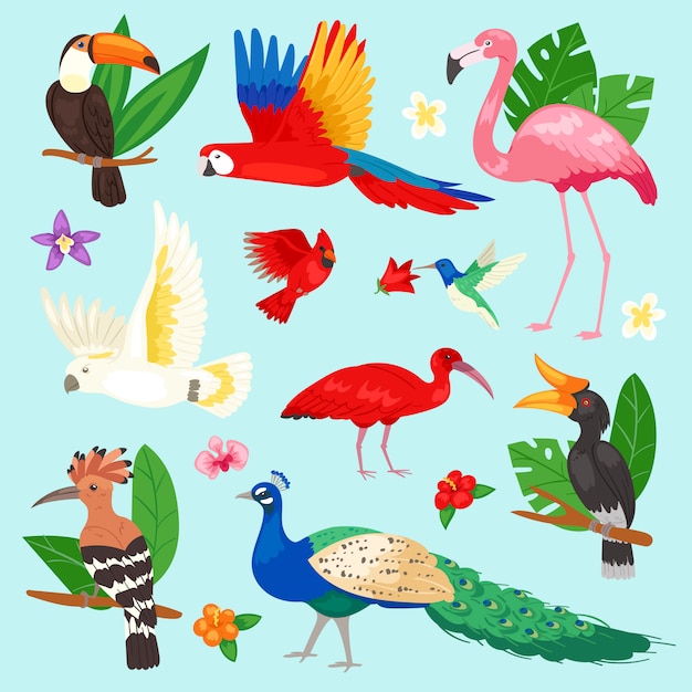 Vetor papagaio exótico de pássaros tropicais ou flamingo e pavão com ilustração de folhas de palmeira