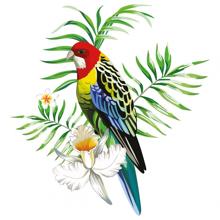 Papagaio multicolor com flores e plantas tropicais