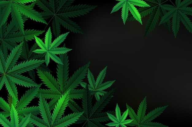 Papel de parede de folha de cannabis realista