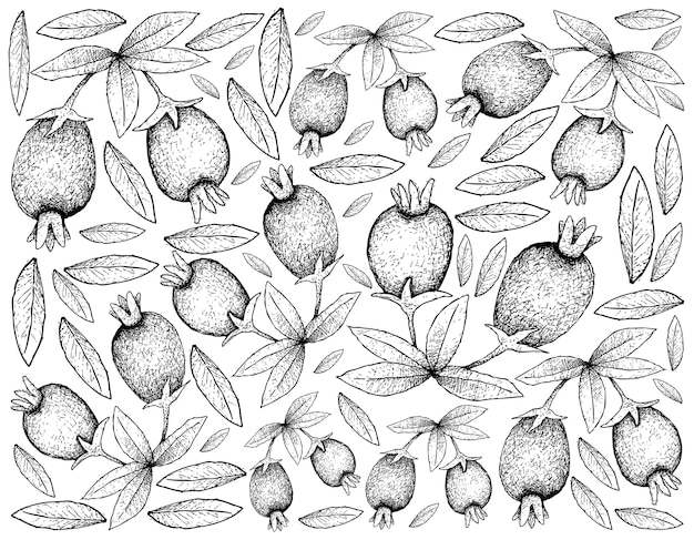 Papel de parede de ilustração de frutas tropicais de esboço desenhado à mão