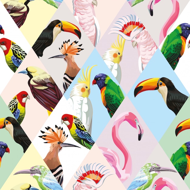 Papel de parede padrão sem emenda com pássaros tropicais de retalhos multicolor