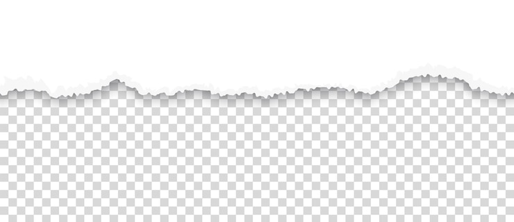 Vetor papel rasgado borda da folha rasgada em fundo transparente página com linha divisória horizontal áspera pedaço de papelão esfarrapado branco fragmento de documento em branco design de borda vetorial grunge