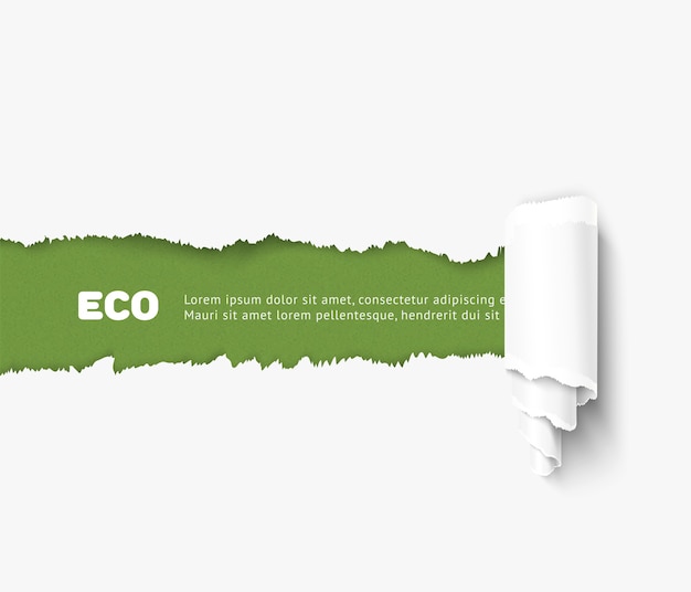 Papel rasgado com ilustração de rolo, conceito eco. papel rasgado realista para design ecológico, banner para o dia mundial do meio ambiente