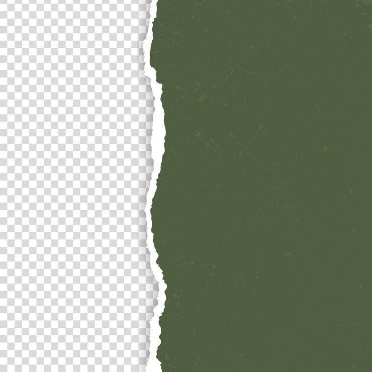 Papel rasgado e rasgado em fundo transparente