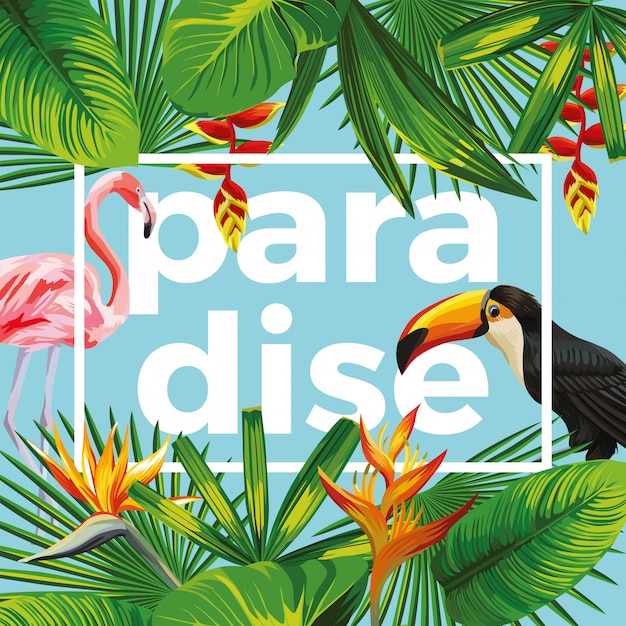 Vetor paraíso de slogan com tucano e flamingo