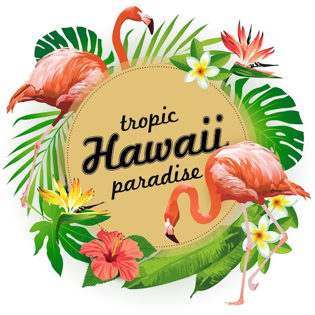 Paraíso tropico do havaí