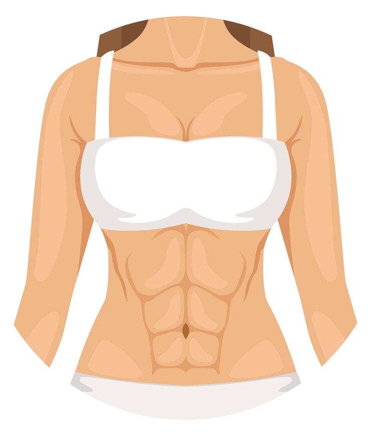 Vetor parte superior do corpo da mulher parte dianteira da anatomia feminina