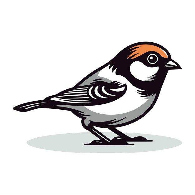 Pássaro bullfinch isolado em fundo branco ilustração vetorial em estilo de desenho animado