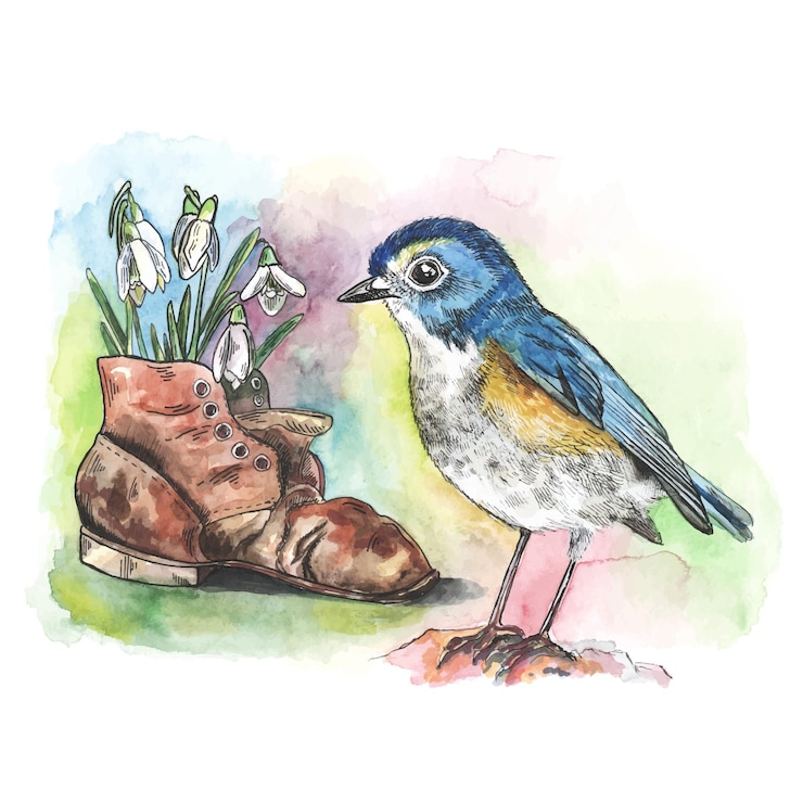 Vetor pássaro de cauda azul de flanco vermelho com gotas de neve na velha ilustração de aquarela de composição de bota de couro marrom