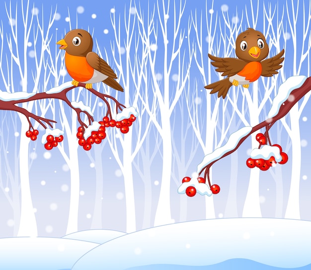 Pássaro de robin engraçado dos desenhos animados na árvore de cereja