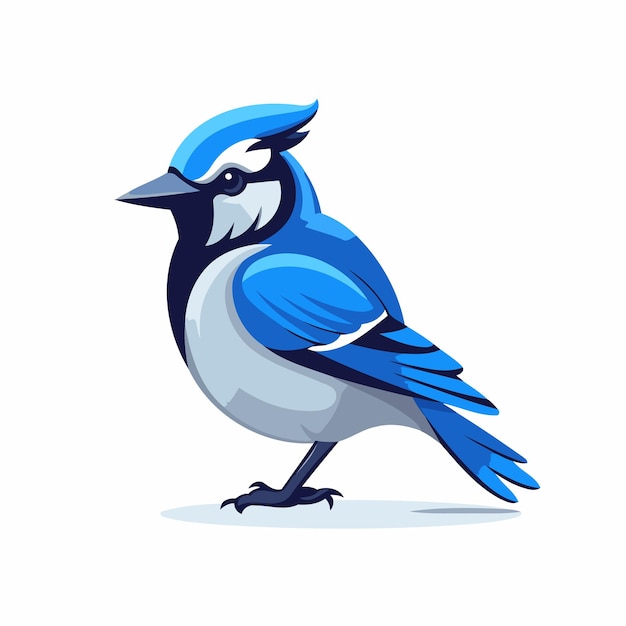 Pássaro jay azul ilustração vetorial isolada em fundo branco
