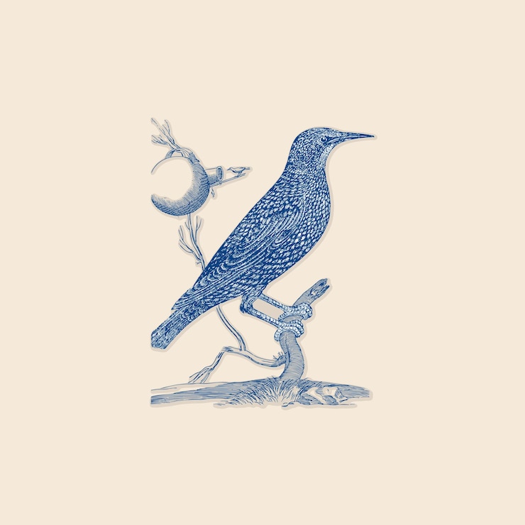 Vetor pássaro selvagem em um bastão e ninho de pássaro logotipo retro elementos vetoriais de design de ilustração vintage