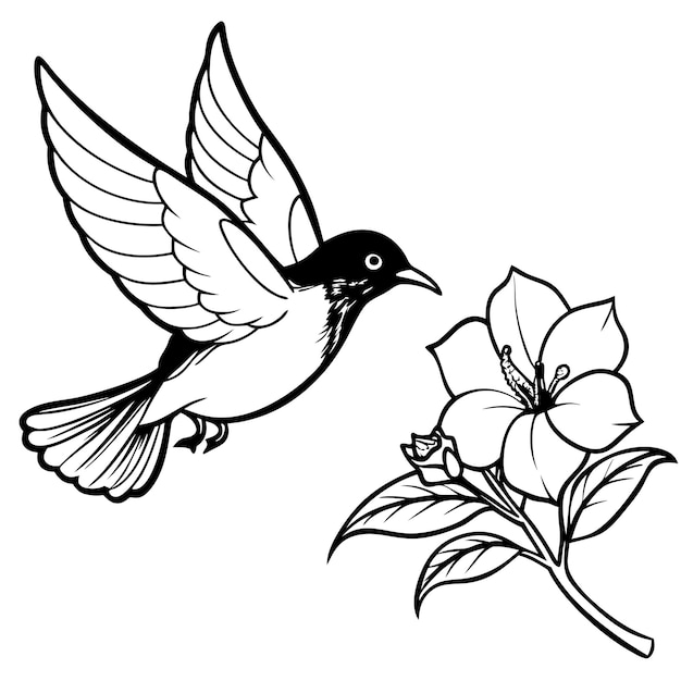 Pássaro voando em Flower Phlox Ilustração vetorial 2D preto e branco em fundo branco