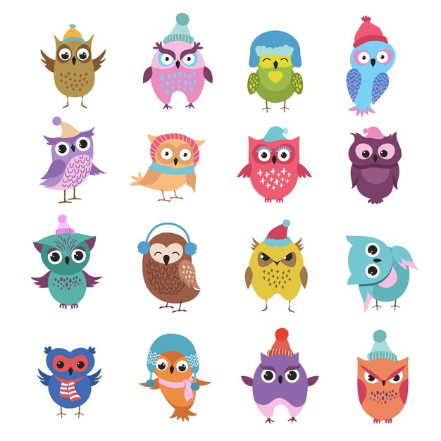 Pássaros de corujas de inverno engraçado dos desenhos animados personagens de vetor