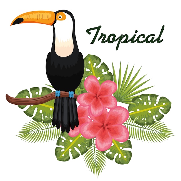 Pássaros tropicais