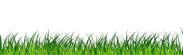 Pasto verde realista fronteira campo gramado prado paisagem bandeira isolado no fundo