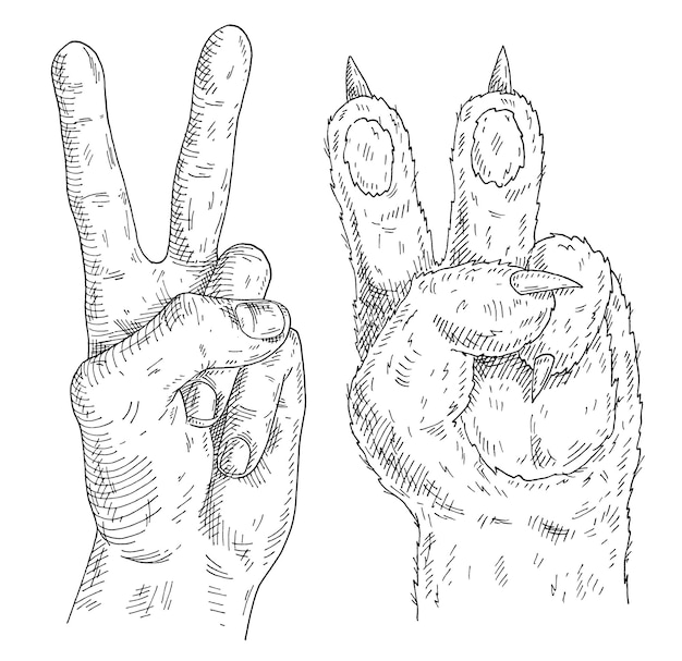Pata de gato e mão humana mostram sinal de vitória ou paz. ilustração em vetor vintage monocromática para incubação isolada no fundo branco. elemento de design desenhado à mão para t-shirt