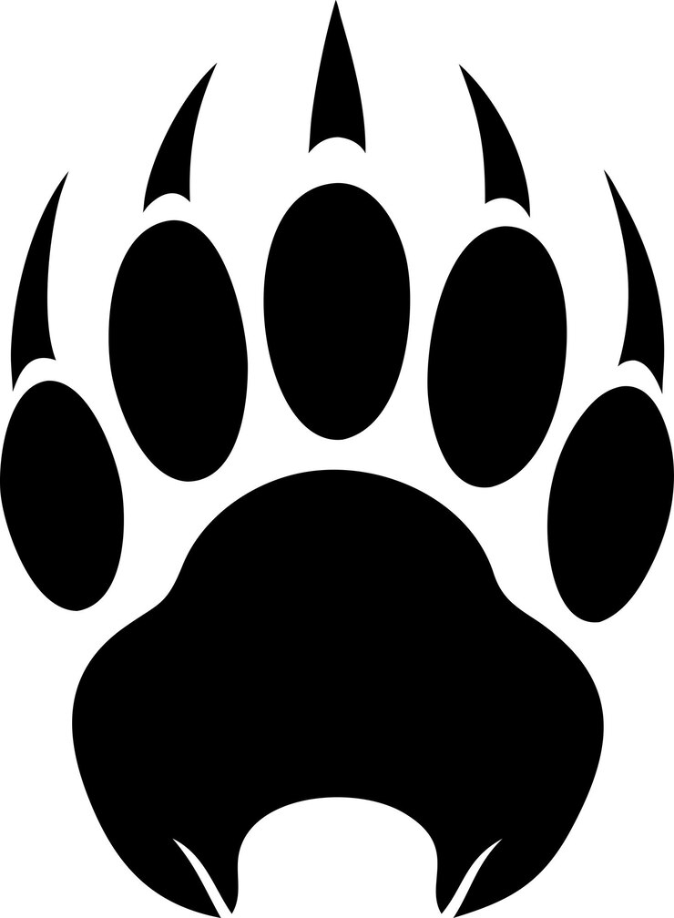 Vetor pata de urso negro com garras impressão desenhos de logotipo