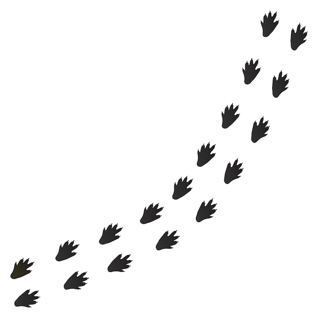 Vetor patas de uma lontra impressões de patas de animais pegadas de animais diagonais para impressões ilustração vetorial