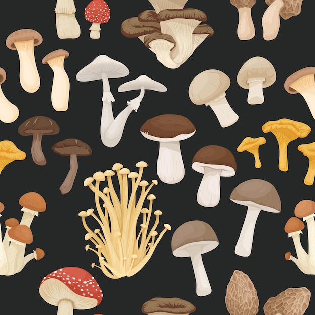 Patern sem costura vetorial com cogumelos venenosos comestíveis não comestíveis cogumelos desenhados à mão cogumelos diferentes no black fly agaric champignon death cap shiitake enoki king trumpet