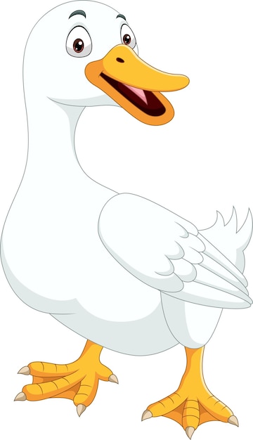 Vetor pato de desenho animado isolado no fundo branco