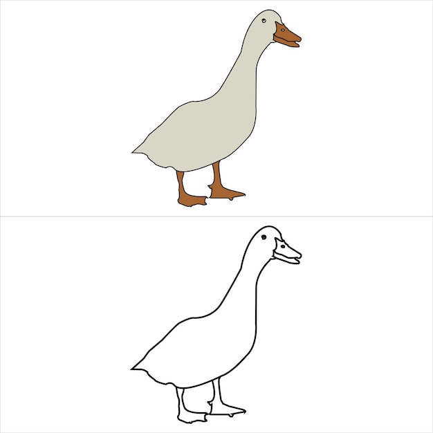 Pato de pato