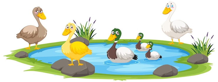 Vetor pato na lagoa no fundo branco