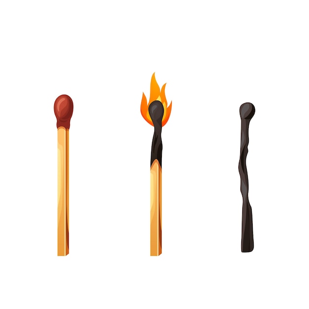 Pau de fósforo queimado com fogo Pau de fósforo de madeira de ignição inteira Segurança dos desenhos animados isolada em vetor branco