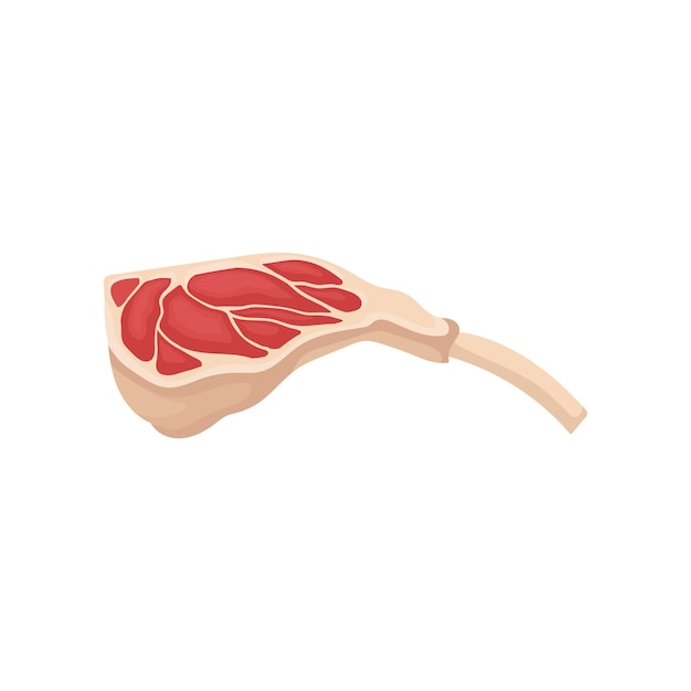 Paz de carne fresca com osso produto agrícola orgânico comida tema plano vetor ilustração