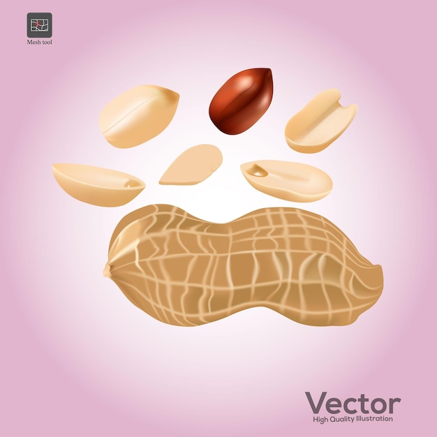 Vetor peanut 3d conjunto de ícones vetoriais realistas